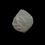 #q237# Nabataean Bronze Prutah Coin of Aretas IV from BC 9-40 AD