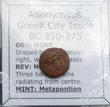 #p218# Anonymous Greek City Issue Bronze Coin of Metapontion from 350-275 BC