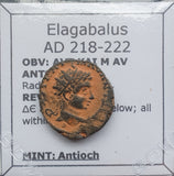 #q288# Roman provincial coin of Elagabalus from Antioch, 218-222 AD
