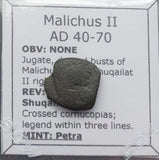 #q246# Nabataean Bronze Prutah Coin of Malichus II from 40-70 AD