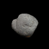 #q246# Nabataean Bronze Prutah Coin of Malichus II from 40-70 AD