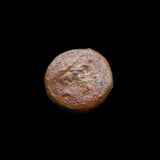#p218# Anonymous Greek City Issue Bronze Coin of Metapontion from 350-275 BC