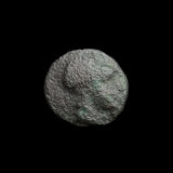 #g770# Greek Macedonian coin of King Demetrios I, 300-295 BC