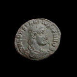 #q169# Roman bronze coin issued by Constantius Gallus from 351-354 AD