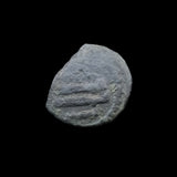 #q320# Spanish Umayyad Fals copper coin of Abd al-Rahman III from 912-929 AD