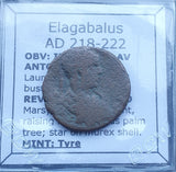 #q305# Roman provincial coin of Elagabalus from Tyre, 218-222 AD