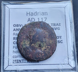#q296# Roman Bronze Ae Dupondius coin of Hadrian from 117 AD