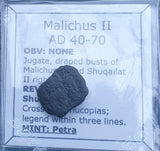 #q242# Nabataean Bronze Prutah Coin of Malichus II from 40-70 AD