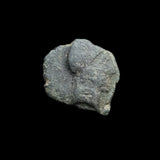 #o750# Anonymous Iberian Greek City Issue Bronze Coin of Castulo from 200-100 BC