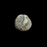 #L649# Anonymous Greek City Issue Bronze Coin of Kyme 250-200 BC