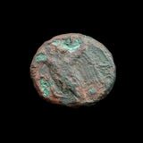 #o509# Anonymous Sicilian Greek coin from Akragas, 287-229 BC