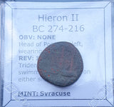 #N799# Greek bronze coin of Hieron II from Syracuse 275-215 BC