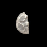 #L404# Bohemian silver 1 Pfennig coin of Fredrick I from 1306-1330 AD