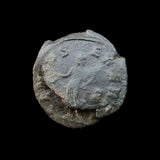 #n585# Roman Antoninianus coin of Claudius II from 268-270 AD