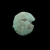 #e103# Byzantine 12 Nummi coin of Maurice Tiberius from 582-602 AD