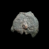 #P136# Anonymous Iberian Greek City Issue Bronze Coin of Cordoba from 75-25 BC