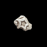 #L400# Bohemian silver 1 pfennig coin of Friedrichs III from 1314-1340 AD