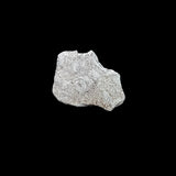 #L400# Bohemian silver 1 pfennig coin of Friedrichs III from 1314-1340 AD