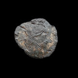 #e941# Roman Antoninianus coin of Gallienus from 260-268 AD