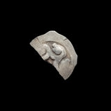 #L399# Bohemian silver 1 pfennig coin of Friedrichs III from 1314-1340 AD