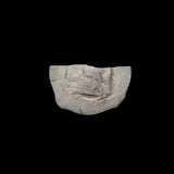 #L399# Bohemian silver 1 pfennig coin of Friedrichs III from 1314-1340 AD