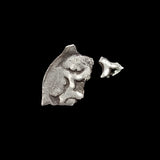#L402# Bohemian silver 1 pfennig coin of Friedrichs III from 1314-1340 AD