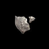 #L402# Bohemian silver 1 pfennig coin of Friedrichs III from 1314-1340 AD