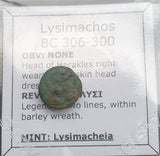 #k504# Greek bronze Macedonian coin of King Lysimachos from 306-300 BC