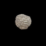 #o508# Hungarian silver parvus coin of Sigismund I from 1387-1437 AD