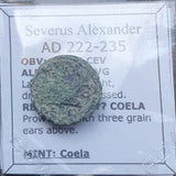 #d724# Roman provincial coin of Severus Alexander from 222-235 AD