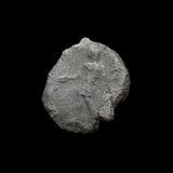 #h645# Roman bronze coin of Tetricus II from 272-273 AD