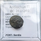 #g105# Greek Seleucid Bronze Coin of Antiochus II from 261-246 BC