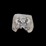 #Q473# Austrian silver 1 Pfennig coin of Frederick I from 1314-1330 AD