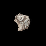 #Q474# Austrian silver 1 Pfennig coin of Frederick I from 1314-1330 AD