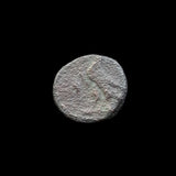 #i859# Greek Ptolemaic coin of King Ptolemy IX, 116-106 BC
