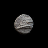 #g738# Greek Cyprus coin of King Nikokreon, 322-310 BC