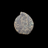 #f915# Greek Ptolemaic coin of King Ptolemy IX, 116-106 BC