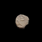 #h595# Byzantine Bronze Ae4 coin issued by Anastasius I from 491-498 AD