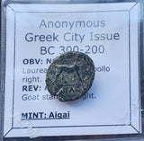 #i098# Anonymous Greek City Issue Bronze Coin of Aigai from 300-200 BC