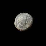 #g428# Anonymous Greek City Issue coin of Elaia from 200-1 BC