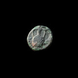 #g317# Anonymous Greek City Issue Bronze Coin of Sestos from 325-275 BC (Rare)