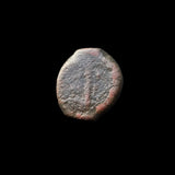 #d797# Anonymous Greek city issue bronze coin from Tyre minted 125-1 BC