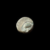 #h081# Anonymous Greek City Issue Bronze Coin of Lampsakos from 400-200 BC