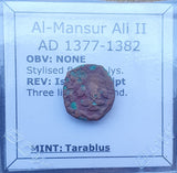 #e261# Mamluk Fals coin of Sultan Al-Mansur Ali II of Egypt 1377-1381 AD