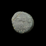 #p685# Anonymous copper Umayyad Fals coin from Spain 711-750 AD