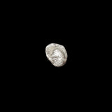#L585# Anonymous Greek silver Diobol coin of Phokaia, 521-478 BC