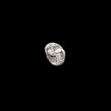 #L585# Anonymous Greek silver Diobol coin of Phokaia, 521-478 BC