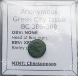 #q481# Anonymous Greek city issue bronze coin from Chersonesos 386-309 BC