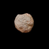 #o516# Anonymous Punic City Issue Bronze Coin of Carthago Nova from 220-205 BC