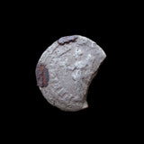 #g827# Roman silver denarius coin of Geta from 203 AD